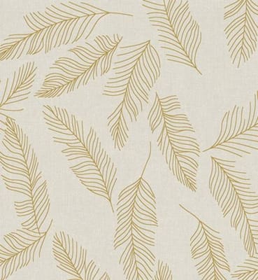 Cotton Palm
