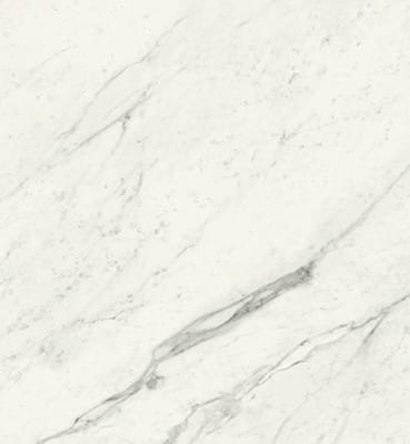 Elegant White