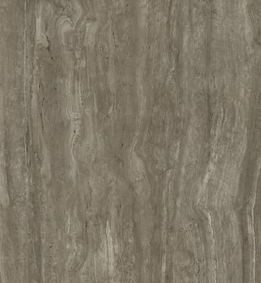 Fuscus Vein