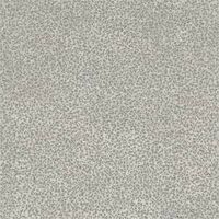 small grey