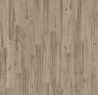 grigio scuro