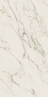 calacatta gold
