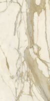 calacatta elite