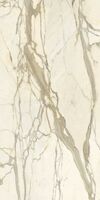 calacatta elite