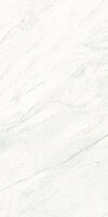 premium white maximum
