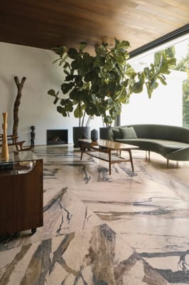 Breccia Phoenix