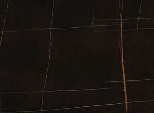Sahara Noir