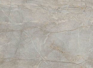 Silver Root