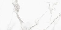 marmorea estatua. 59x119 pul.