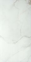 palace calacata 59x119 r.y p