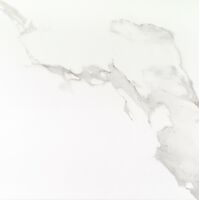 palace carrara 59x59 r.y p