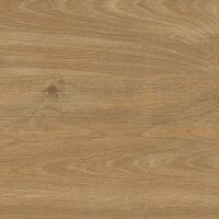 patagonia castano 20 60x60 rec