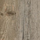 elm