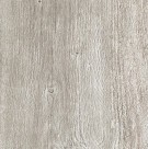 maple