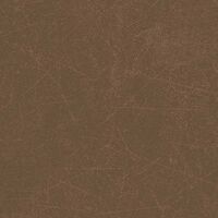 sidney oxido 60x60 pulido