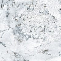 White (1)