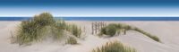 decor dunes rect