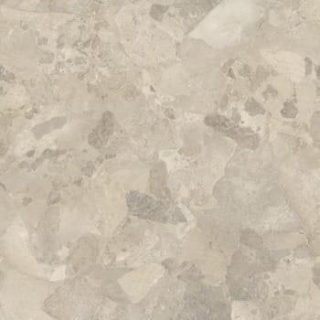 Gris tourterelle