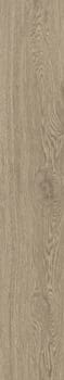 Beige foncé