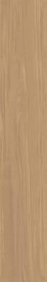 Ocre