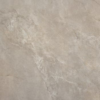 Beige gris