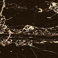 muse black brillo