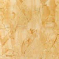 muse gold brillo