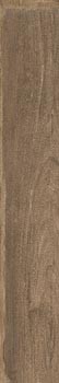 beige foncé