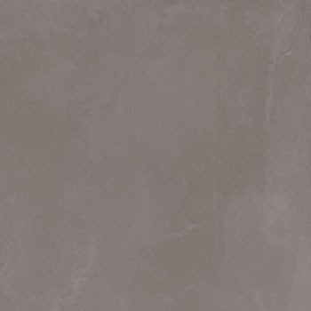 gris foncé