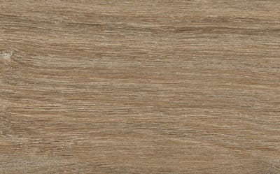 Rovere Autunno