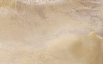 Hoily Beige