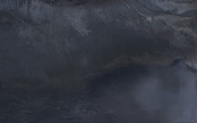 Hoily Black