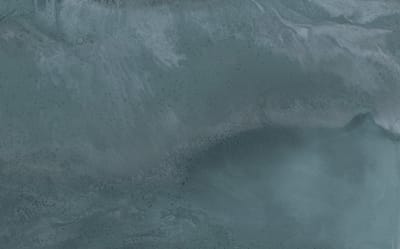 Hoily Blue