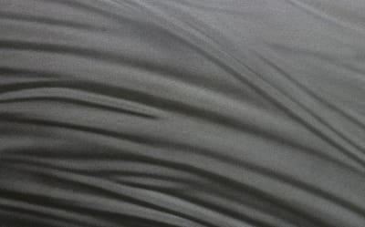 LUCE SILVER