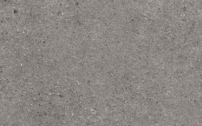 Silver Grey (1)