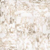 oniric white
