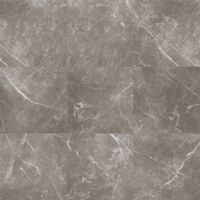 persian grey
