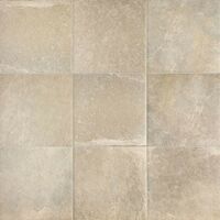 extreme beige