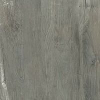 kauri