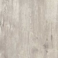 maple