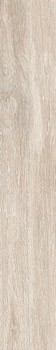 legno 2012b rm
