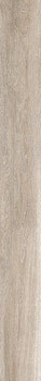 legno 2018b rm