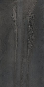 rdka 12dg lp