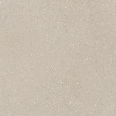 Beige gris