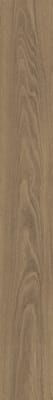 Beige foncé
