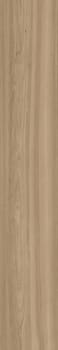 Beige foncé