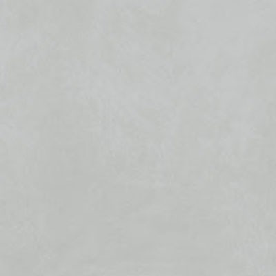 src010
