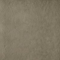 plaster tortora