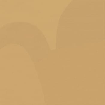 Goose beak yellow