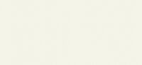 basic blanco 100x300 5.6